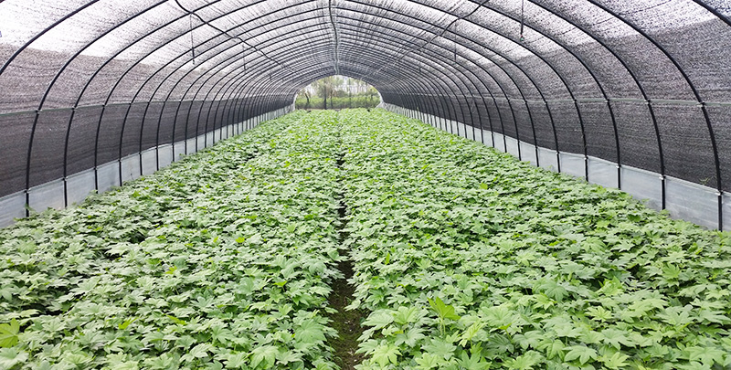 emc易倍·(中国)体育官方网站-EMCSPORTS